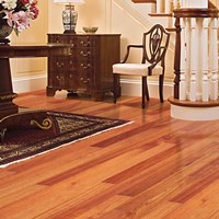 Ark Elegant Exotics Solid Hardwood Flooring at Wholesale Prices